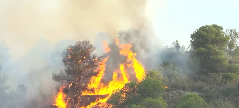 Incêndios na Espanha forçam evacuação de 34 cidades no país