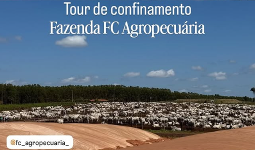 FC Agropecuária realiza Tour de Confinamento com foco em tecnologia e produtividade em Codó