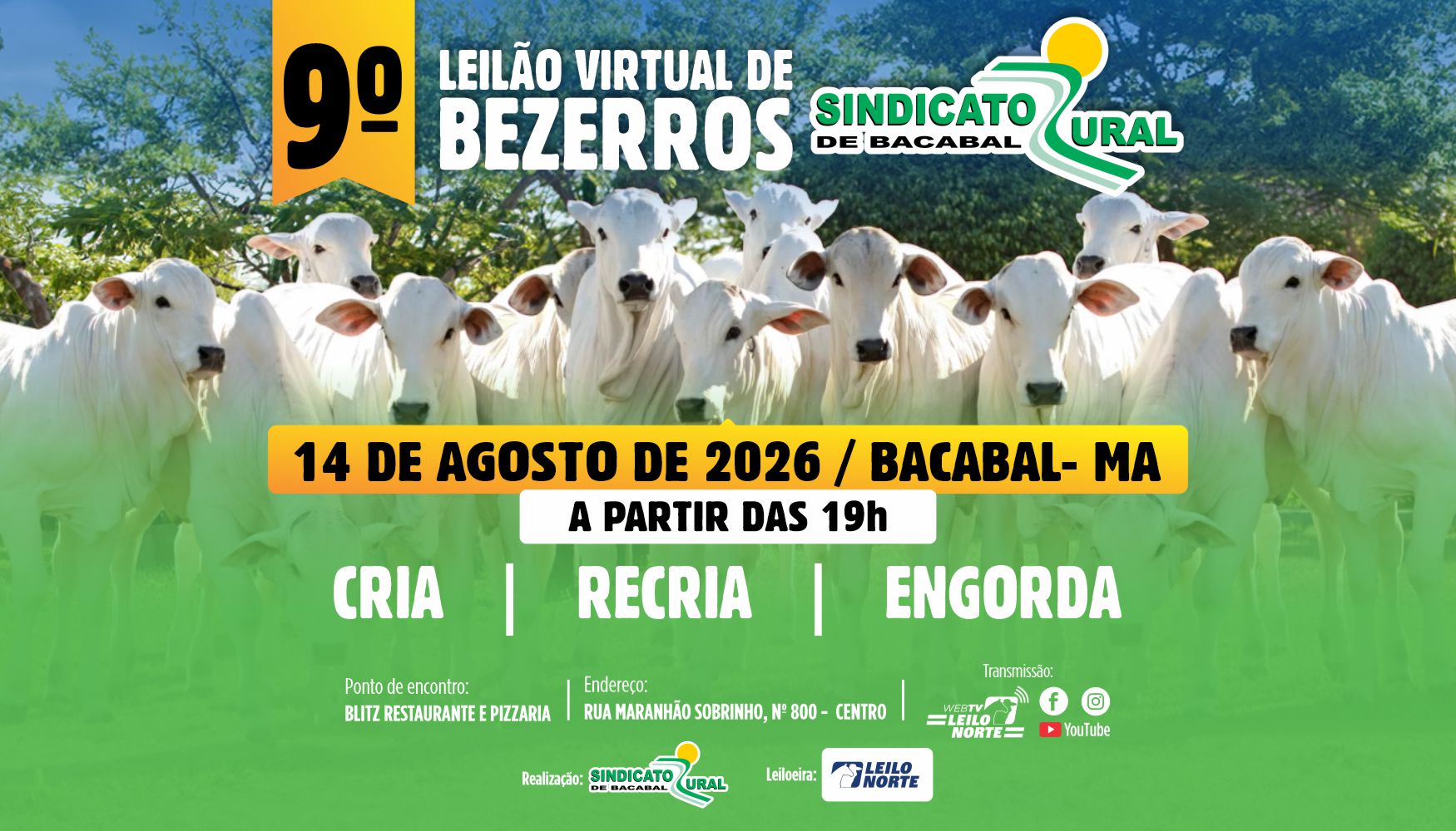 9º Leilão Virtual marca o início da 19ª Agrofeira de Bacabal