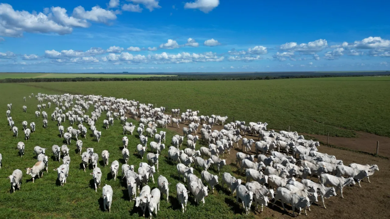 Fazenda de R$ 115 milhões chama atenção no Oeste de Goiás com 3,1 mil hectares e potencial para pecuária e lavoura