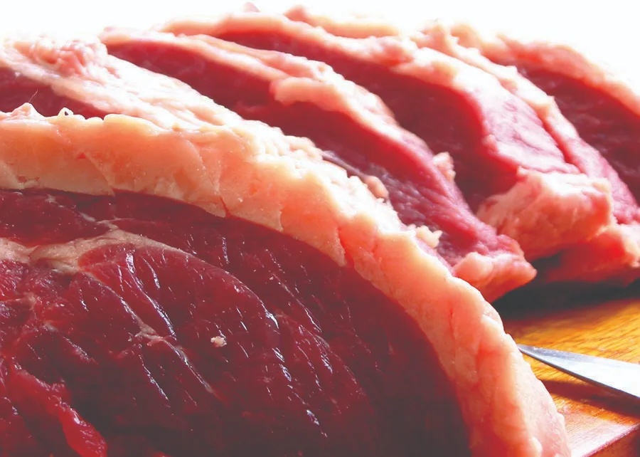 Após ganhar espaço na Europa, carne e mel brasileiros são alvo de veto da UE