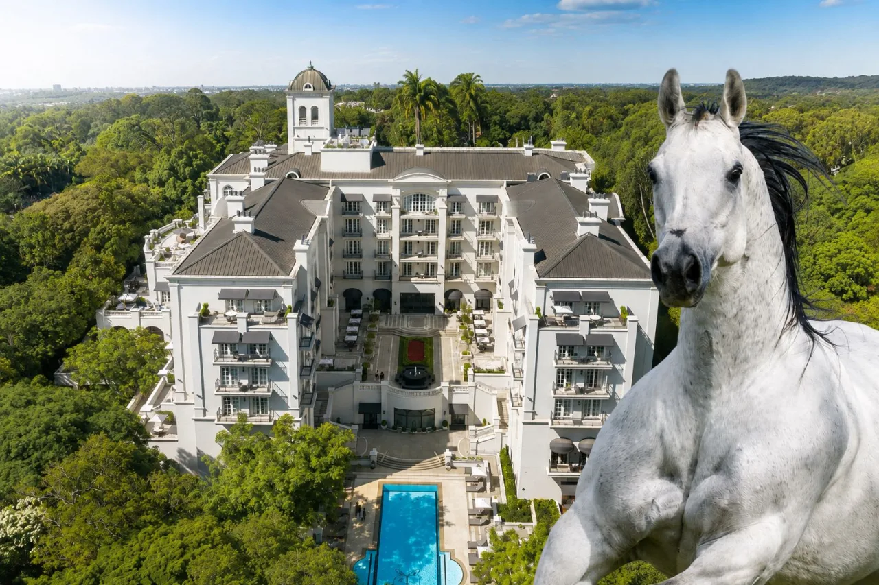 Cafame Roxa AD vai subir ao palco do Leilão Haras Frange no Palácio Tangará