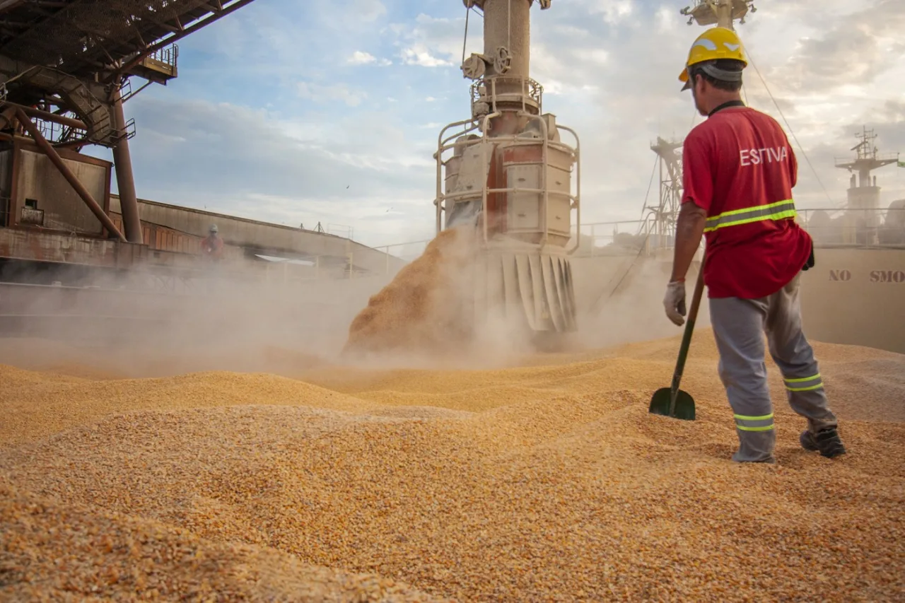 Exportações de milho recuam frente a jul/25; cautela consumidora limita negociações