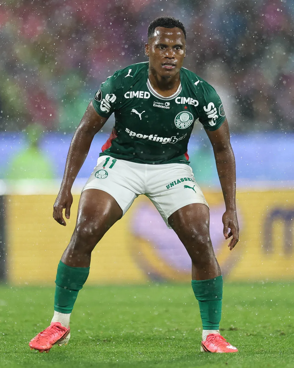 Jhon Arias minimiza críticas após vaga na Libertadores e diz que Palmeiras “vai brigar por tudo”