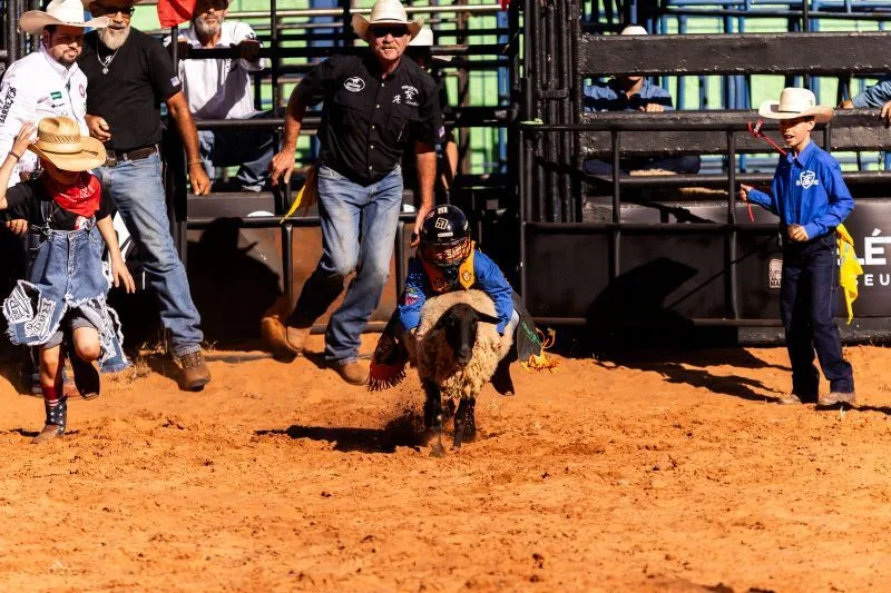 Com apenas 7 anos, Pedro Luiz vence a primeira eliminatória da montaria em carneiros; veja como participar