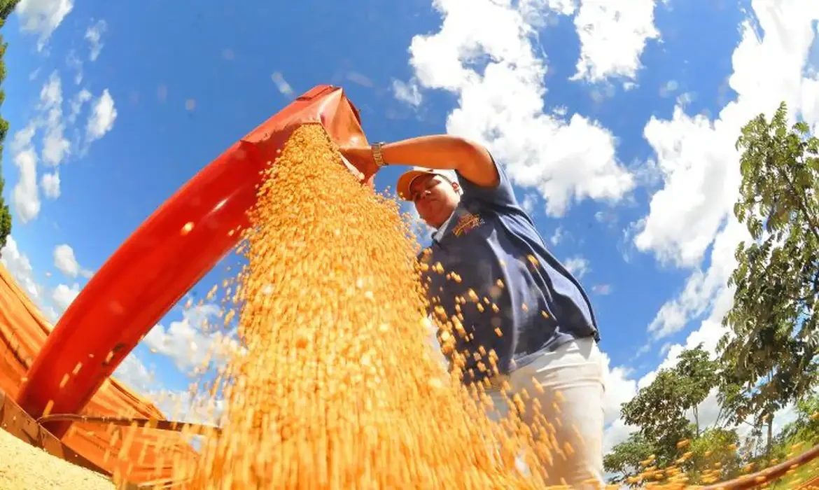 Crédito rural da soja: 82,6% bate com cultivo no campo, mas R$ 2,2 bilhões exigem atenção