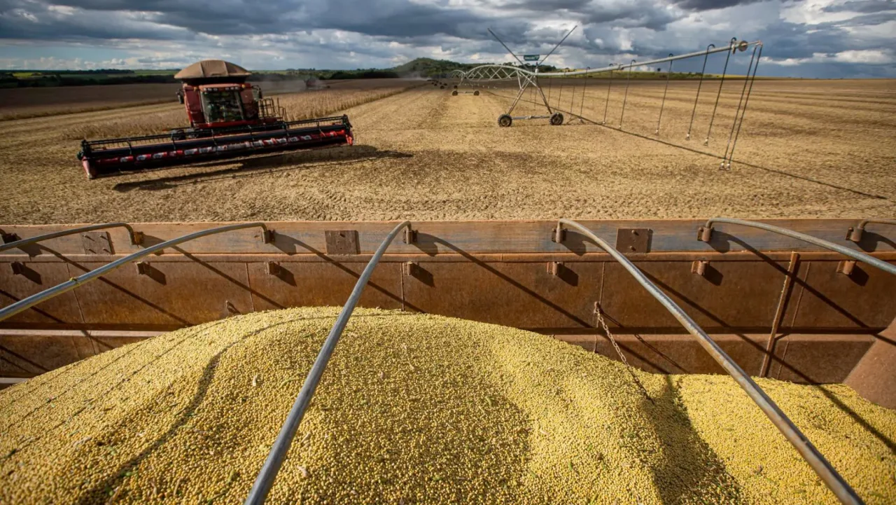 A seca levou a safra, mas a Justiça segurou o banco: produtor de Campo Grande suspende cobrança de dívida rural