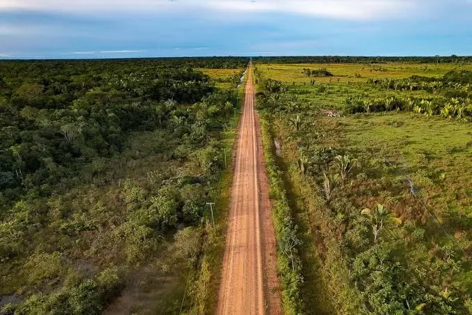 Desmatamento na Amazônia teve queda de 36,87% no último ano