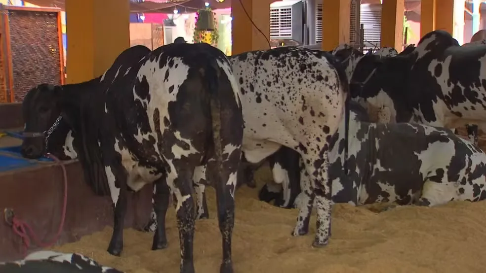 Expo Rio Preto surpreende e reúne 50 mil pessoas já na primeira semana