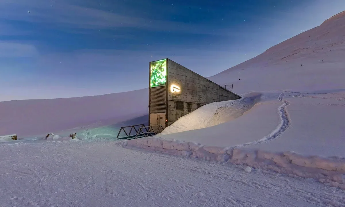Dentro de uma montanha no Ártico existe o cofre que protege o futuro da agricultura mundial