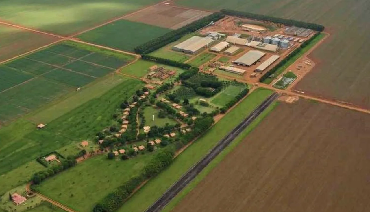 SLC Agrícola bate recorde de R$ 2,2 bilhões e vê lucro disparar 75%