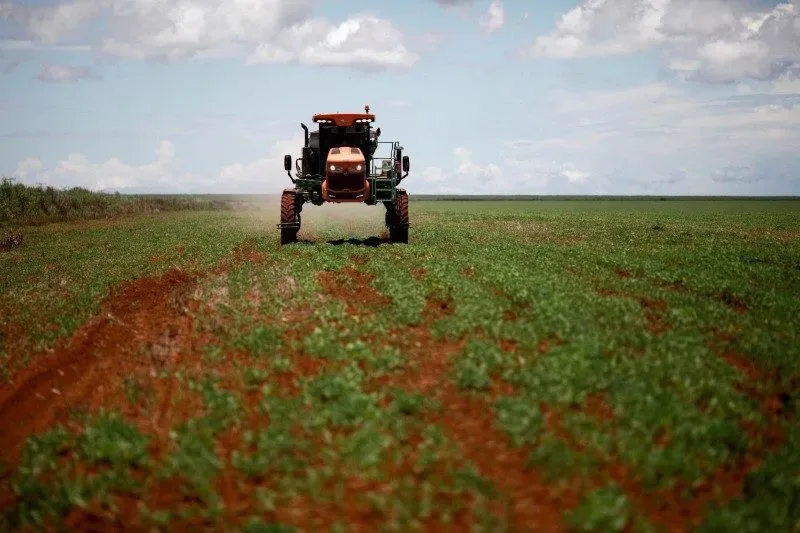 Agosto tem melhor relação de troca entre grãos e fertilizantes no agro