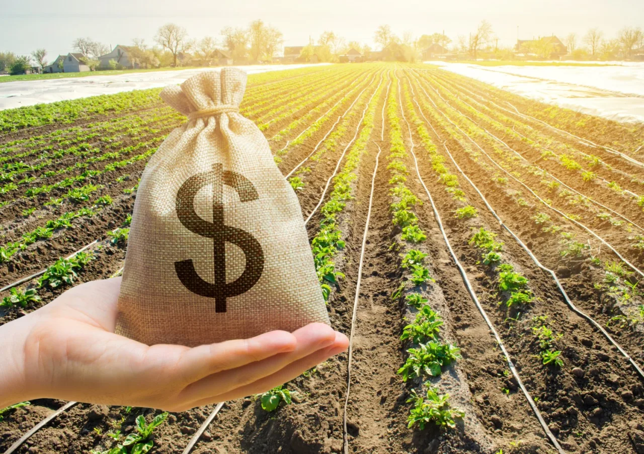 Crédito rural para a agricultura empresarial soma R$ 28,2 bilhões no primeiro mês da safra 2026/2027