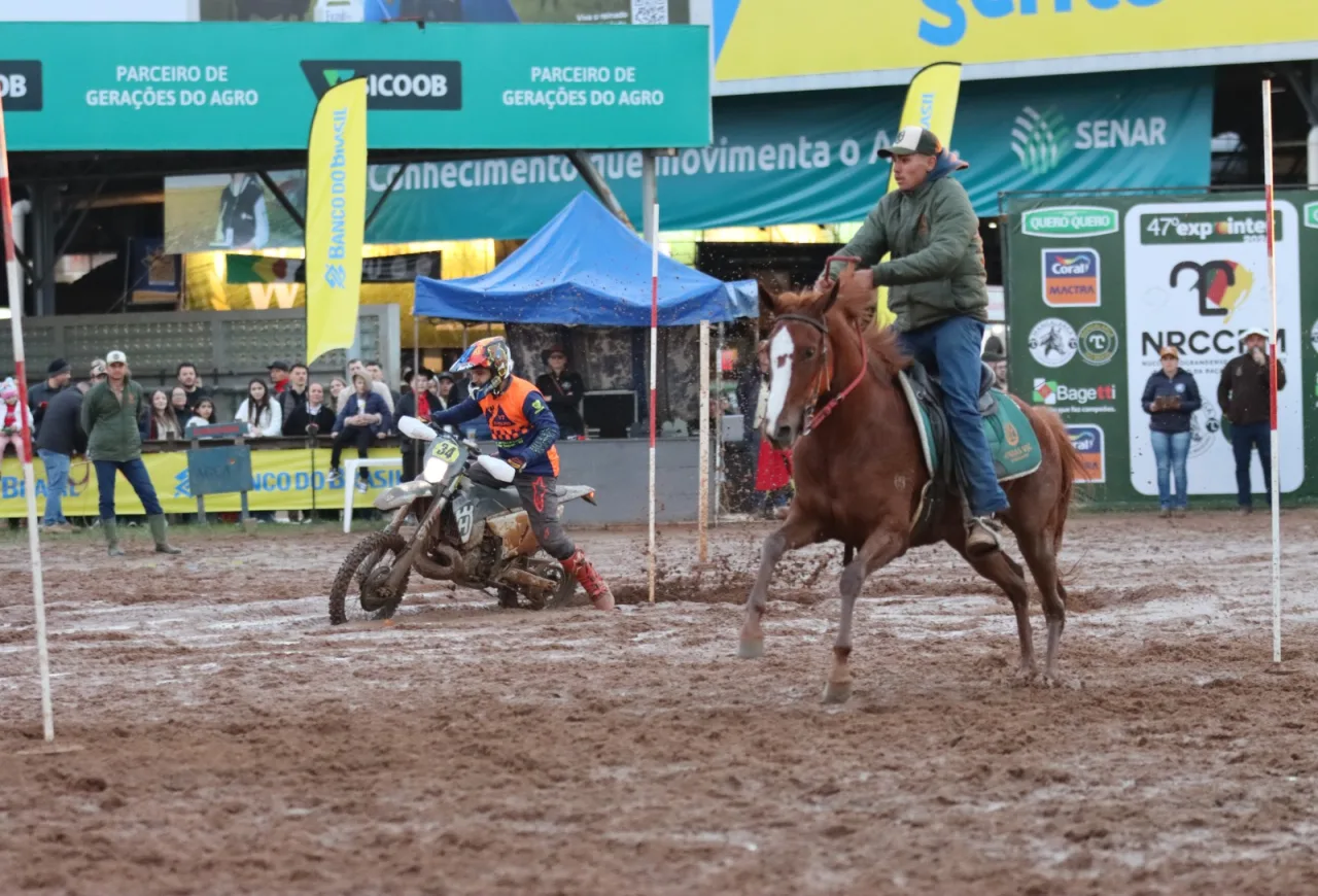 Expointer 2026 vai muito além do Freio de Ouro: veja as provas equestres e a programação