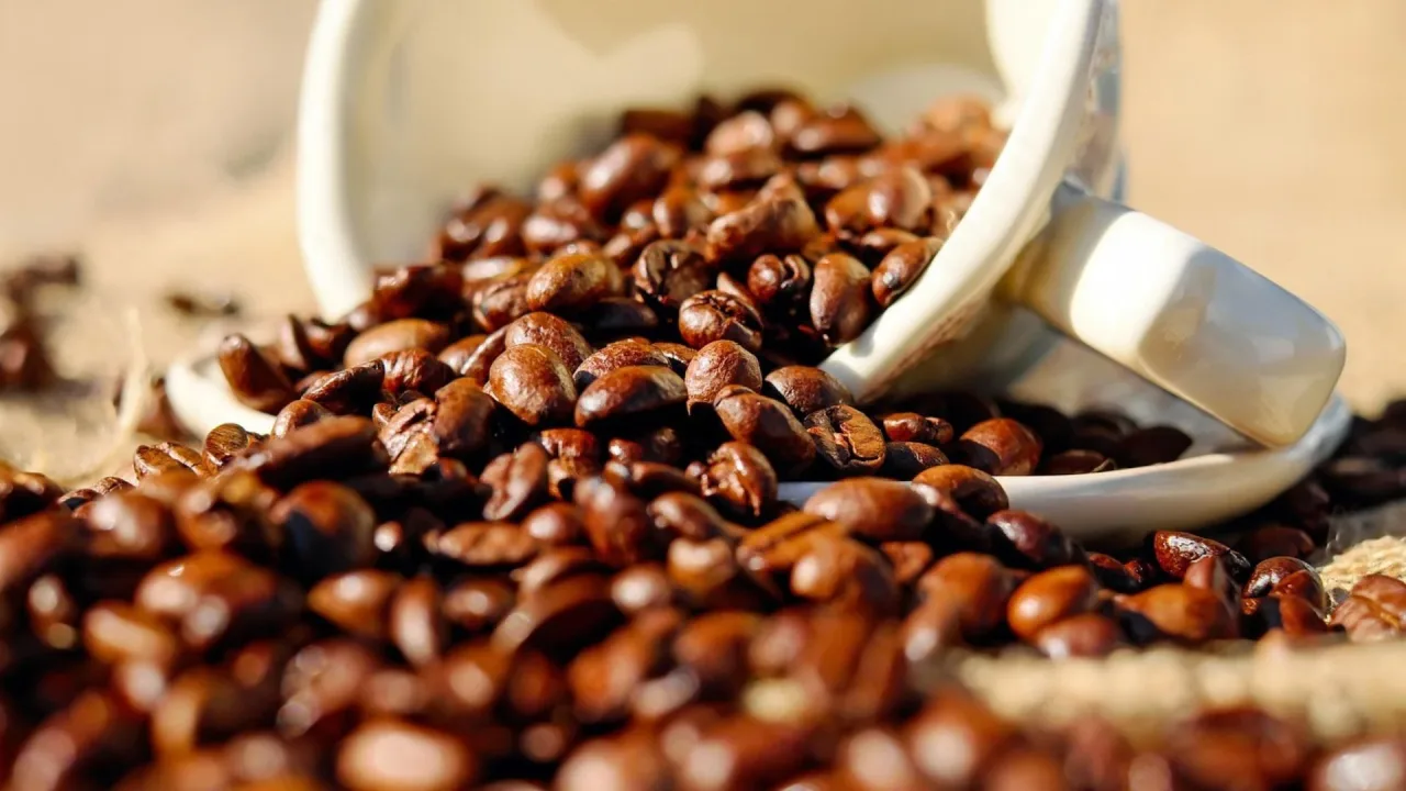 Colheita de café no Brasil alcança 84% da safra 26/27, mas segue atrasada