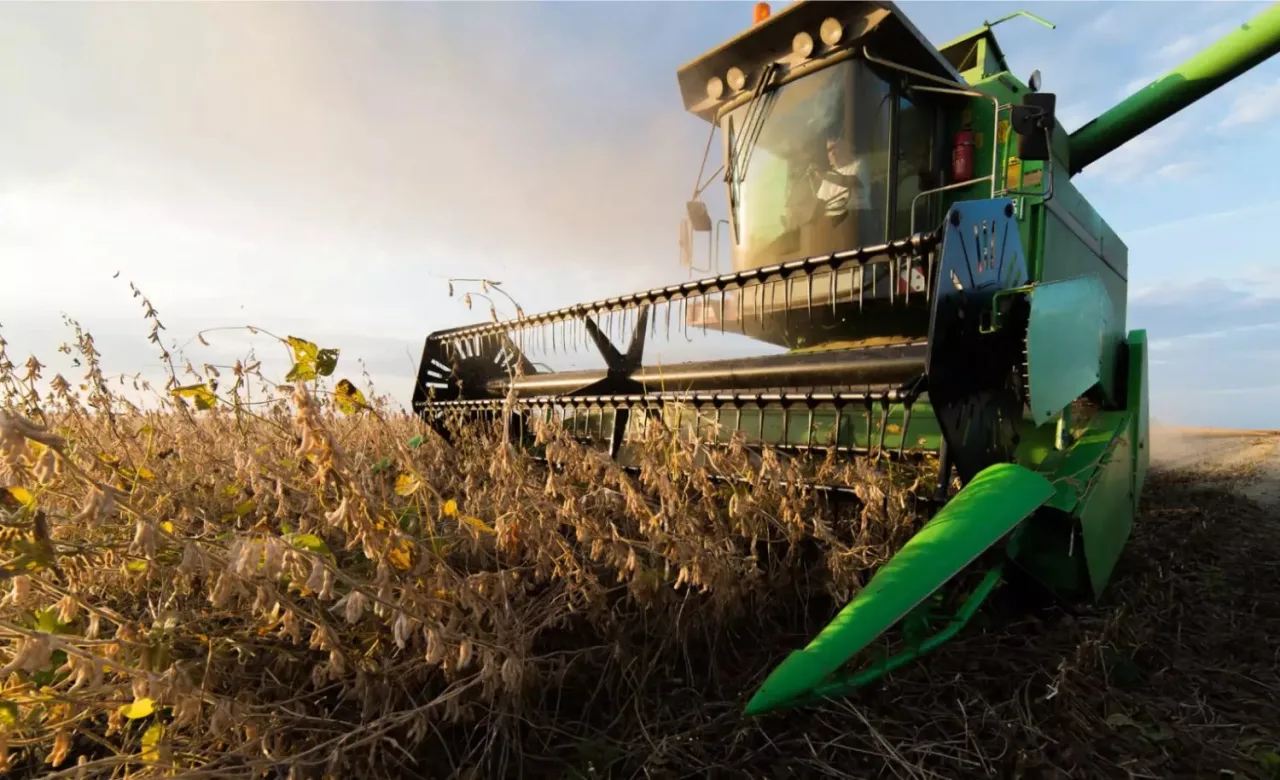 Agricultura reduz projeção do valor bruto da produção para R$ 1,398 trilhão