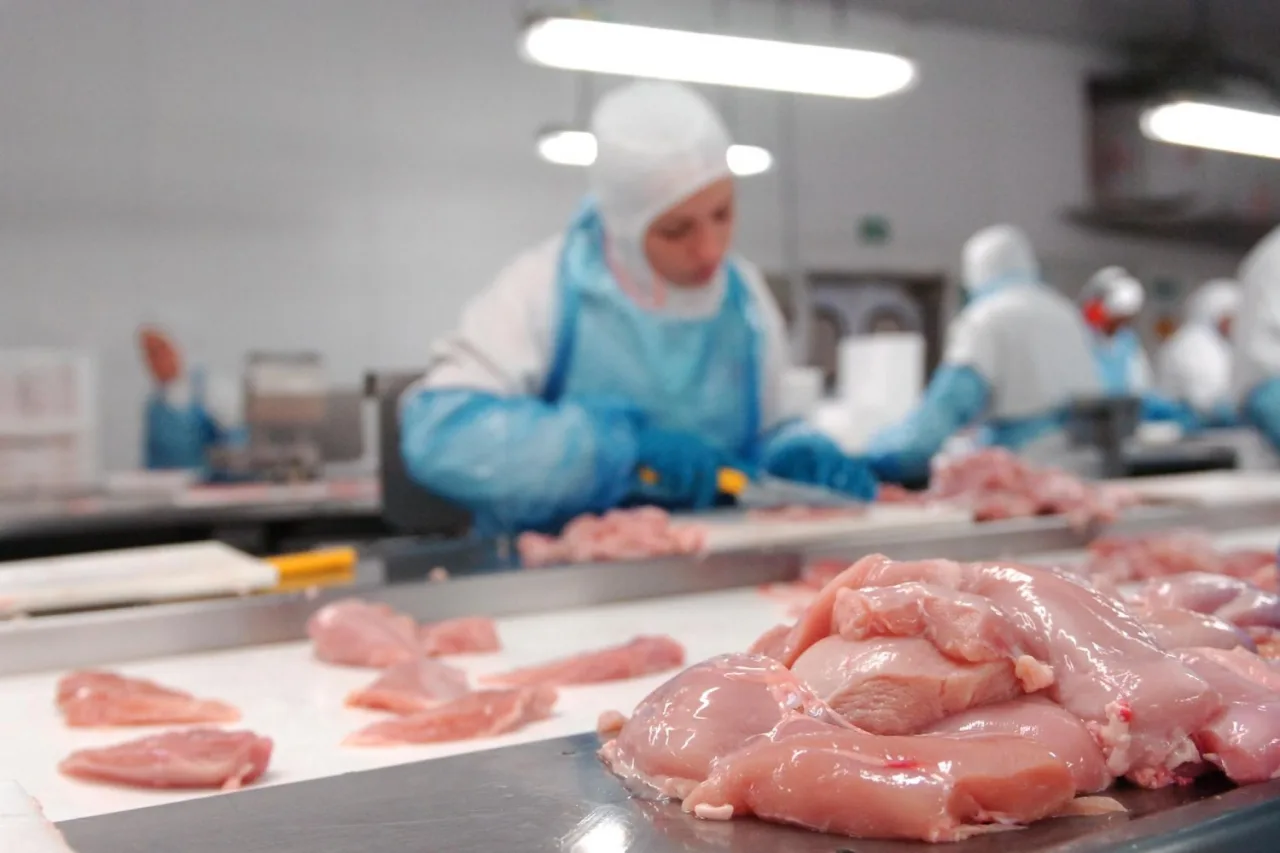 Oferta de carne de frango no 2º tri atinge o maior nível desde o final de 2025