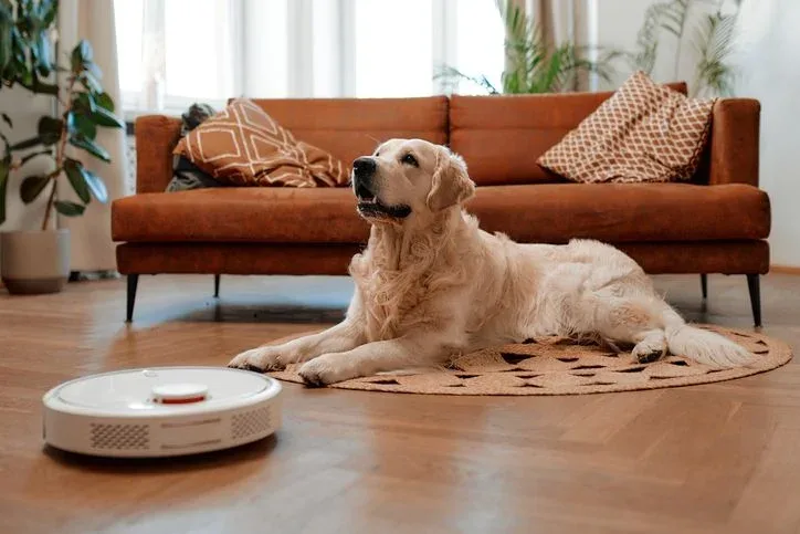 Robôs domésticos: 10 dispositivos robóticos úteis para ter em casa