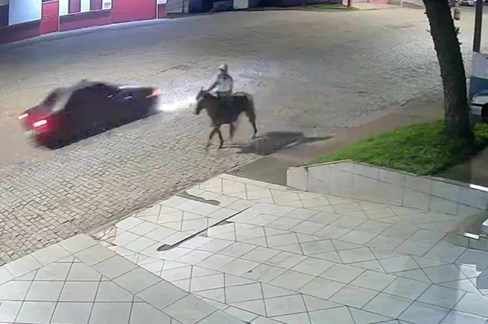 Cerca de 10 cavalos e mulas são furtados e abatidos; polícia investiga destino da carne
