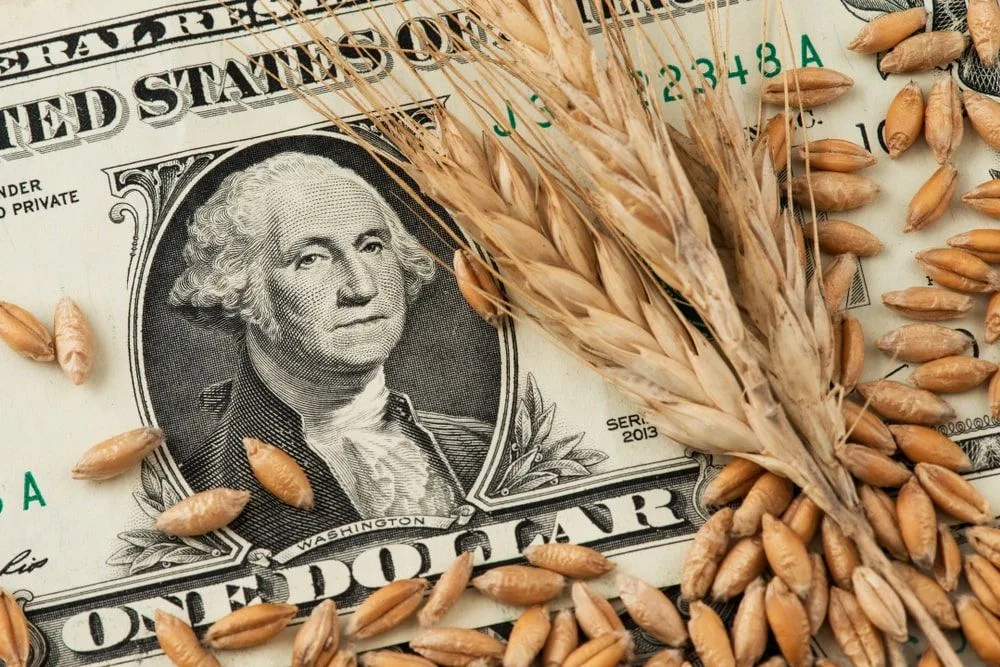 EUA vendem 393,7 mil t de trigo da safra 2026/27, diz USDA