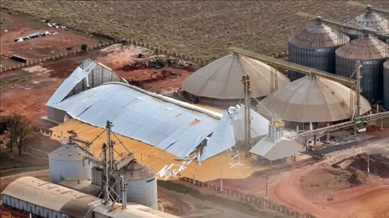 Armazém novo desaba com cerca de 33 mil toneladas de milho e expõe gargalo no agro de MS