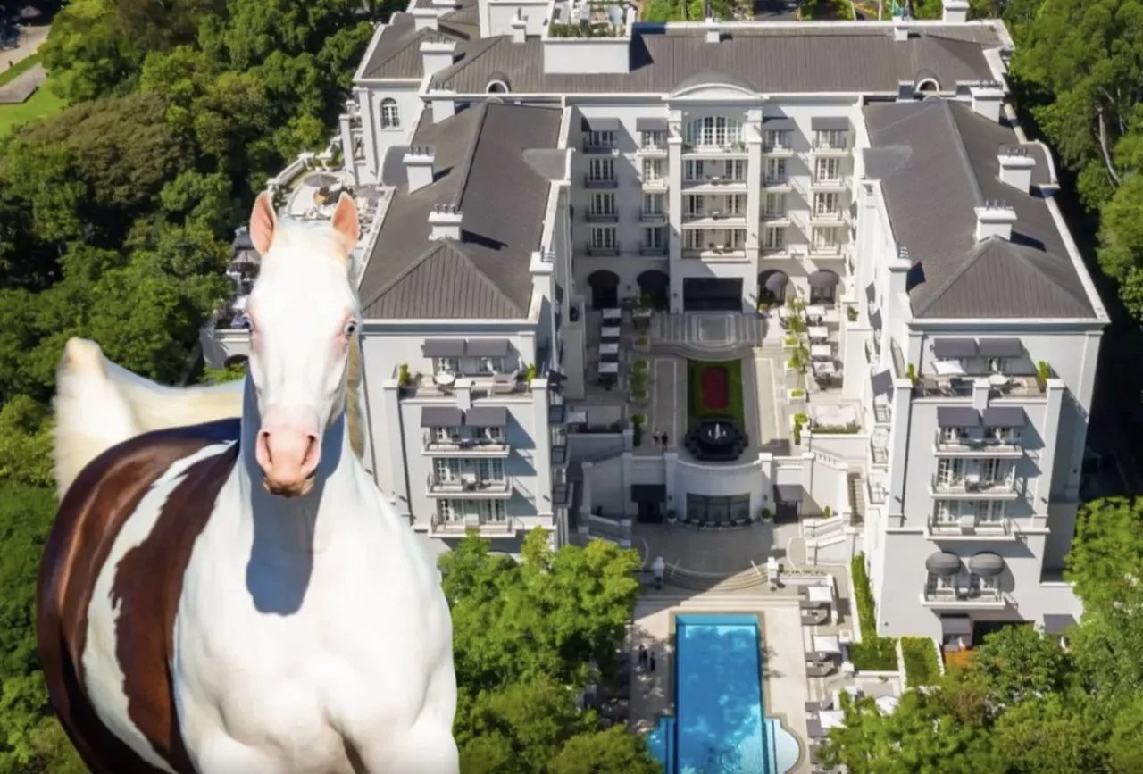 Palácio Tangará recebe hoje um dos leilões mais aguardados do Quarto de Milha