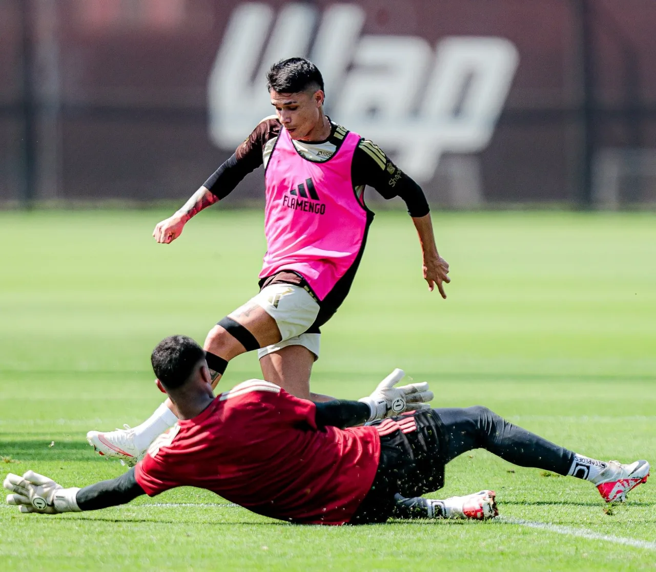 Mirassol x Flamengo: veja prováveis escalações e onde assistir ao duelo pelo Brasileirão