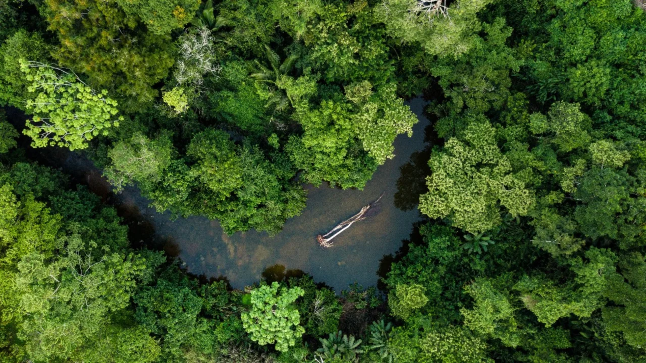 Fundo Amazônia vai destinar R$ 34,6 mi para produção Agroecológica no PA e em MT
