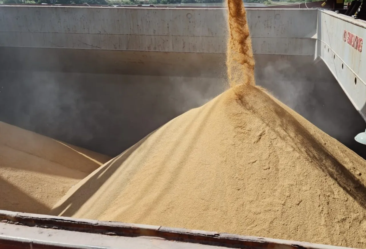 Federarroz vai acionar autoridades após identificar inconformidades no arroz vendido ao consumidor