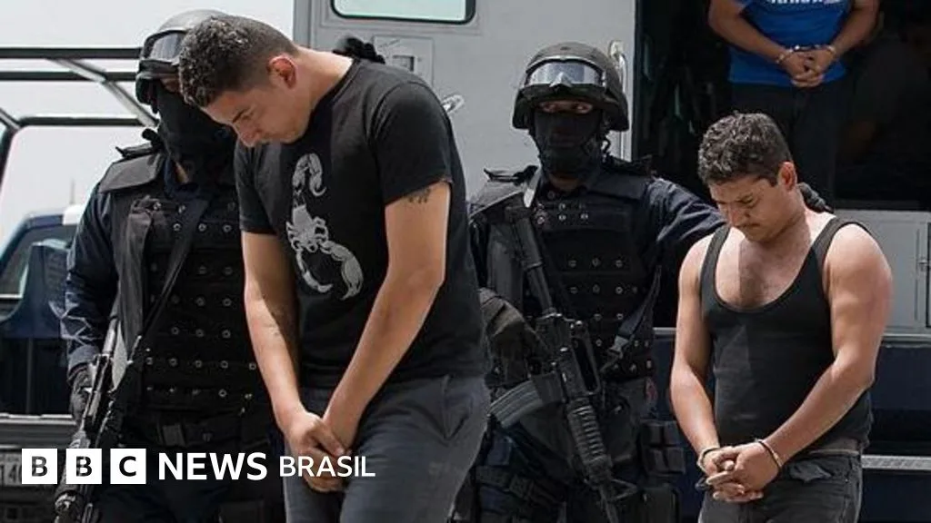 A polêmica tese que critica a guerra contra as drogas no México: 'Os cartéis não existem'