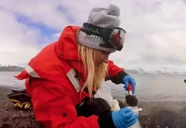 Única planta nativa da Antártica tem genoma mapeado e pode revelar mistério