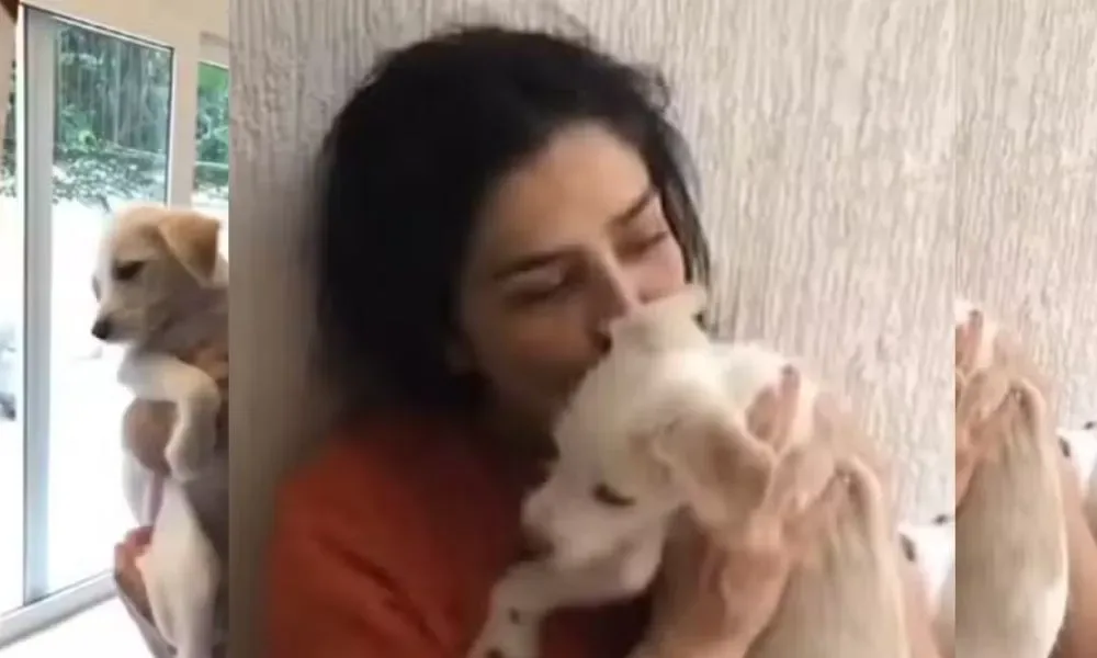 Justiça do RJ ordena devolução do cachorro de Letícia Sabatella e autoriza uso de força policial