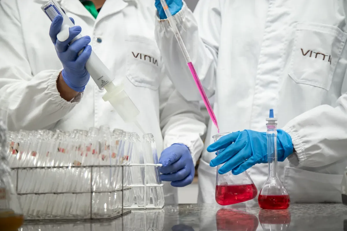 Vittia reduz prejuízo no 2º trimestre e receita cresce 15,1%
