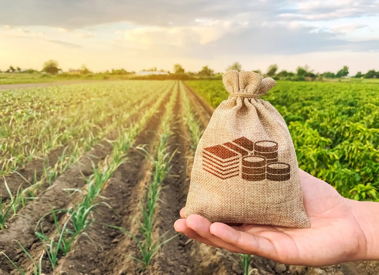 Distribuidoras associadas de insumos agrícolas faturam R$ 171 bilhões em 2025