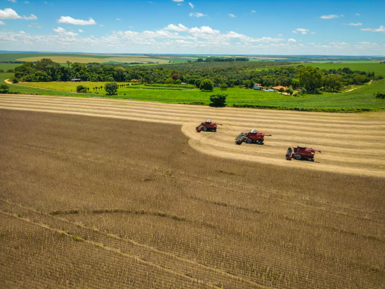Dono de 25 mil hectares em MT, grupo tem plano de RJ aprovado para renegociar R$ 600 milhões