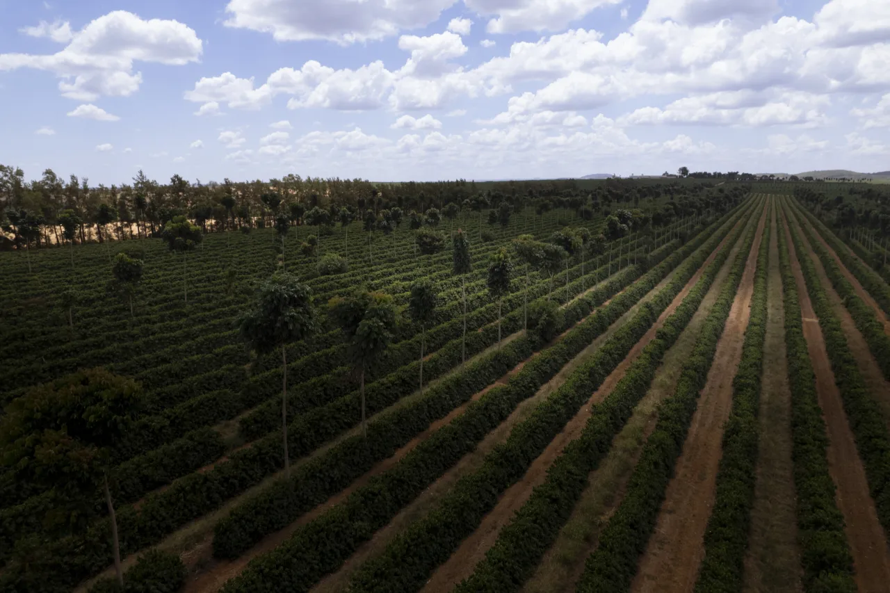 Nespresso apresenta edição 2025 do relatório de sustentabilidade “The Positive Cup”