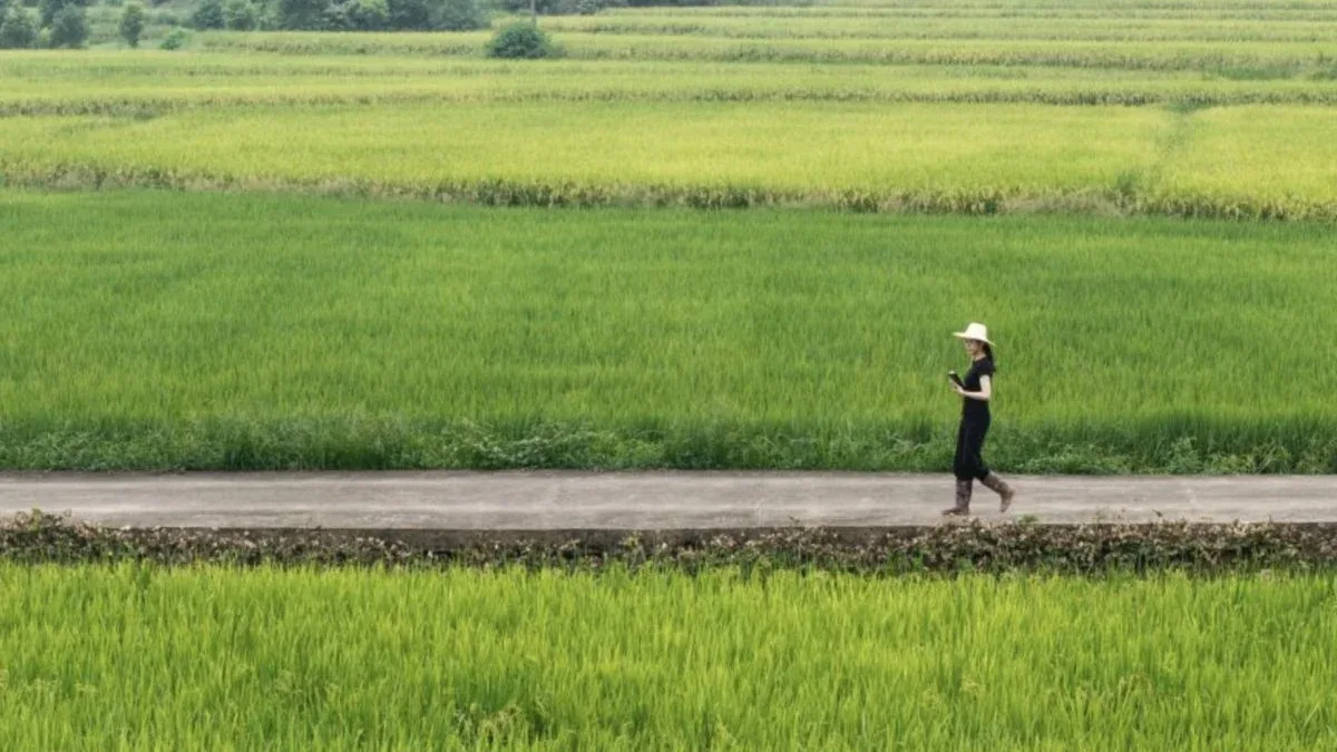 China reduz importação de alimentos e amplia produção agrícola