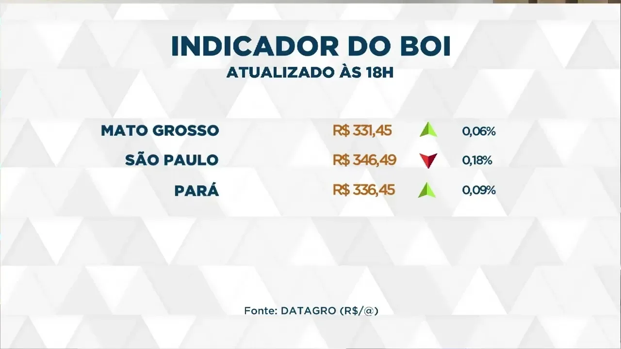 Cotações do boi gordo superam R$ 330 nos principais mercados brasileiros