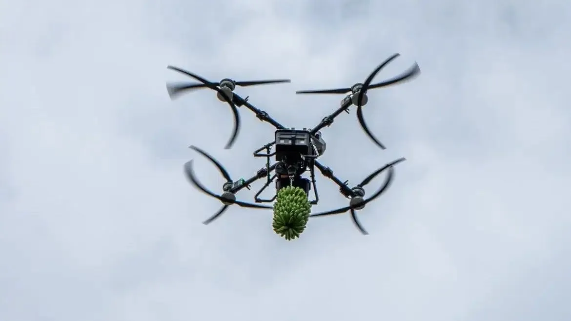IA pode gerar R$ 48,2 bilhões para o agro brasileiro até 2030, aponta estudo do Reglab