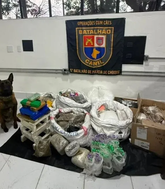 Operação em centros dos Correios apreende 174 kg de drogas em SP