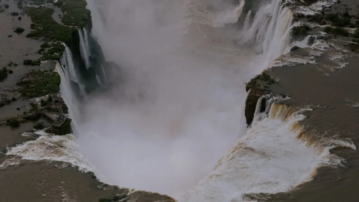 Onças formam casal inesperado em Parque Nacional do Iguaçu
