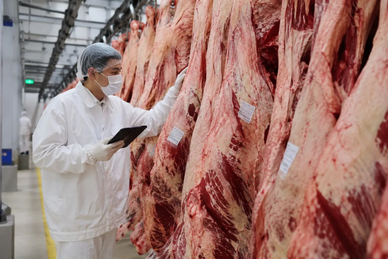 Gigante da carne pode ser vendida em negócio de mais de US$ 2 bilhões