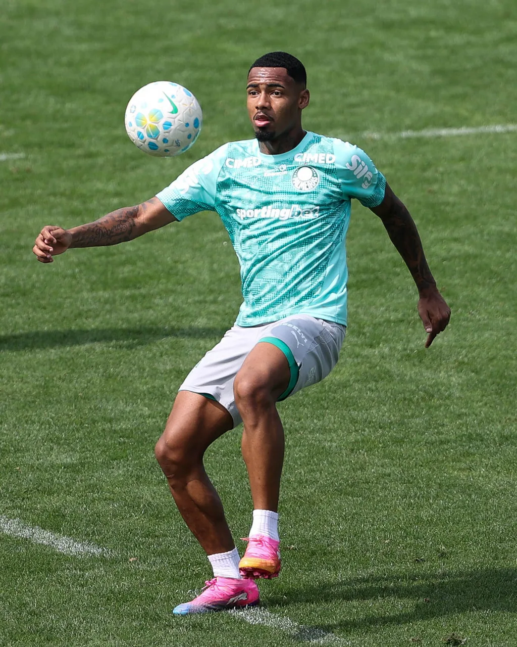 Allan aponta necessidade de ajustes e confia em evolução do Palmeiras em meio à oscilação