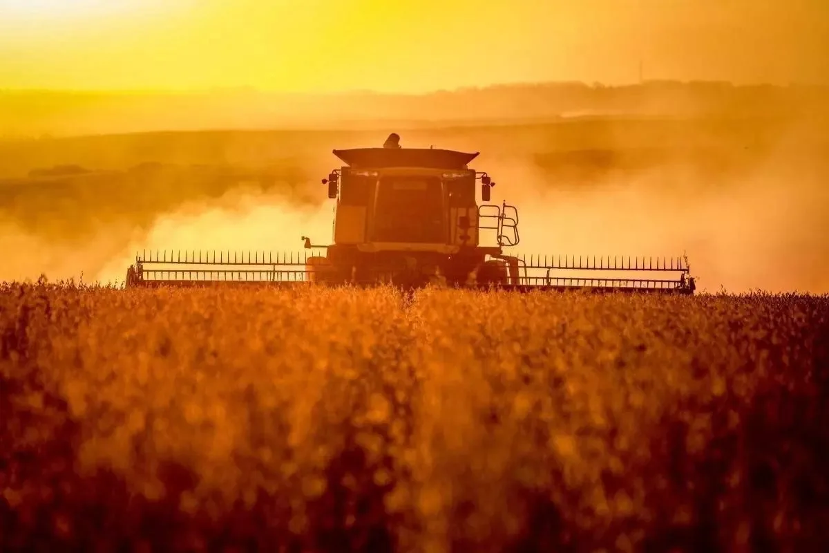 Máquinas agrícolas chinesas estão assustando as gigantes tradicionais no Brasil?