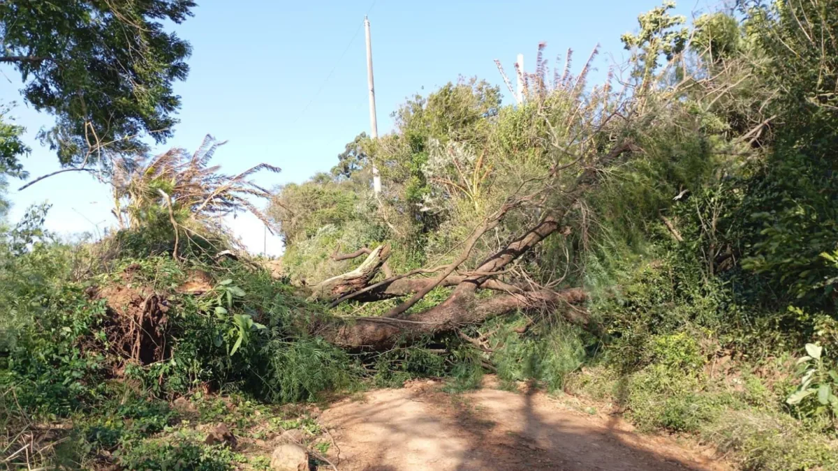 Chuva forte deixa um morto e causa estragos em ao menos 10 cidades de SC