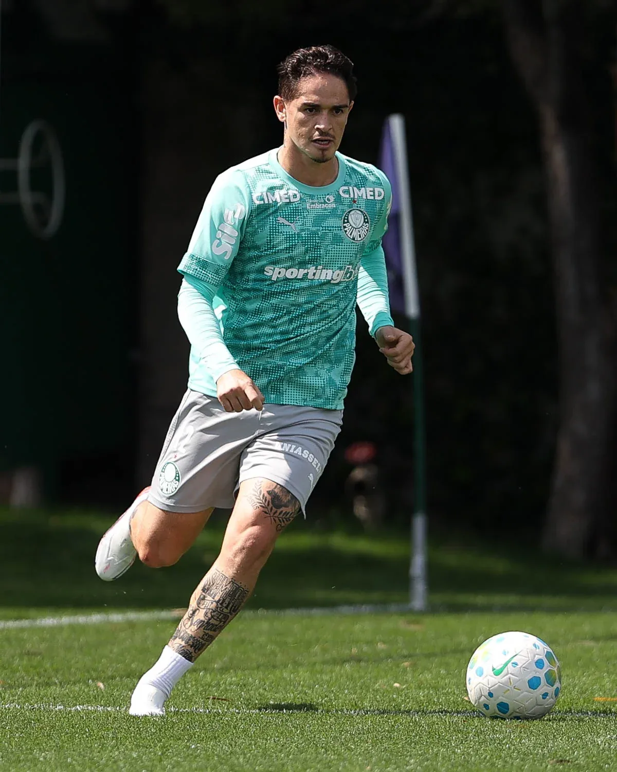 Sosa tem lesão confirmada, e Palmeiras abre preparação para decisão contra o Cerro