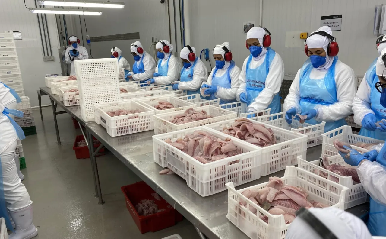Com demanda enfraquecida, preços da tilápia recuam