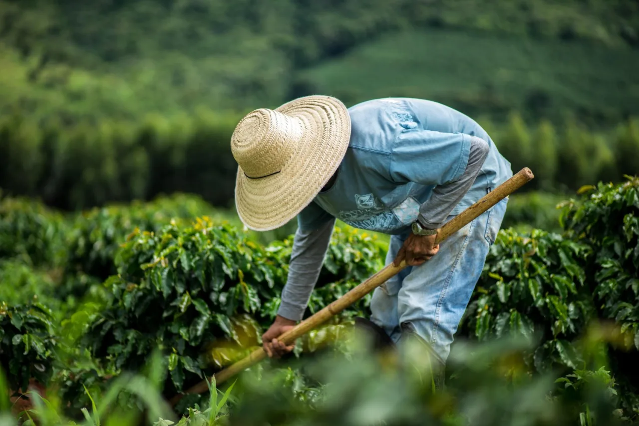 Após sequência de recordes, número de pessoas no agro recua no 1º tri