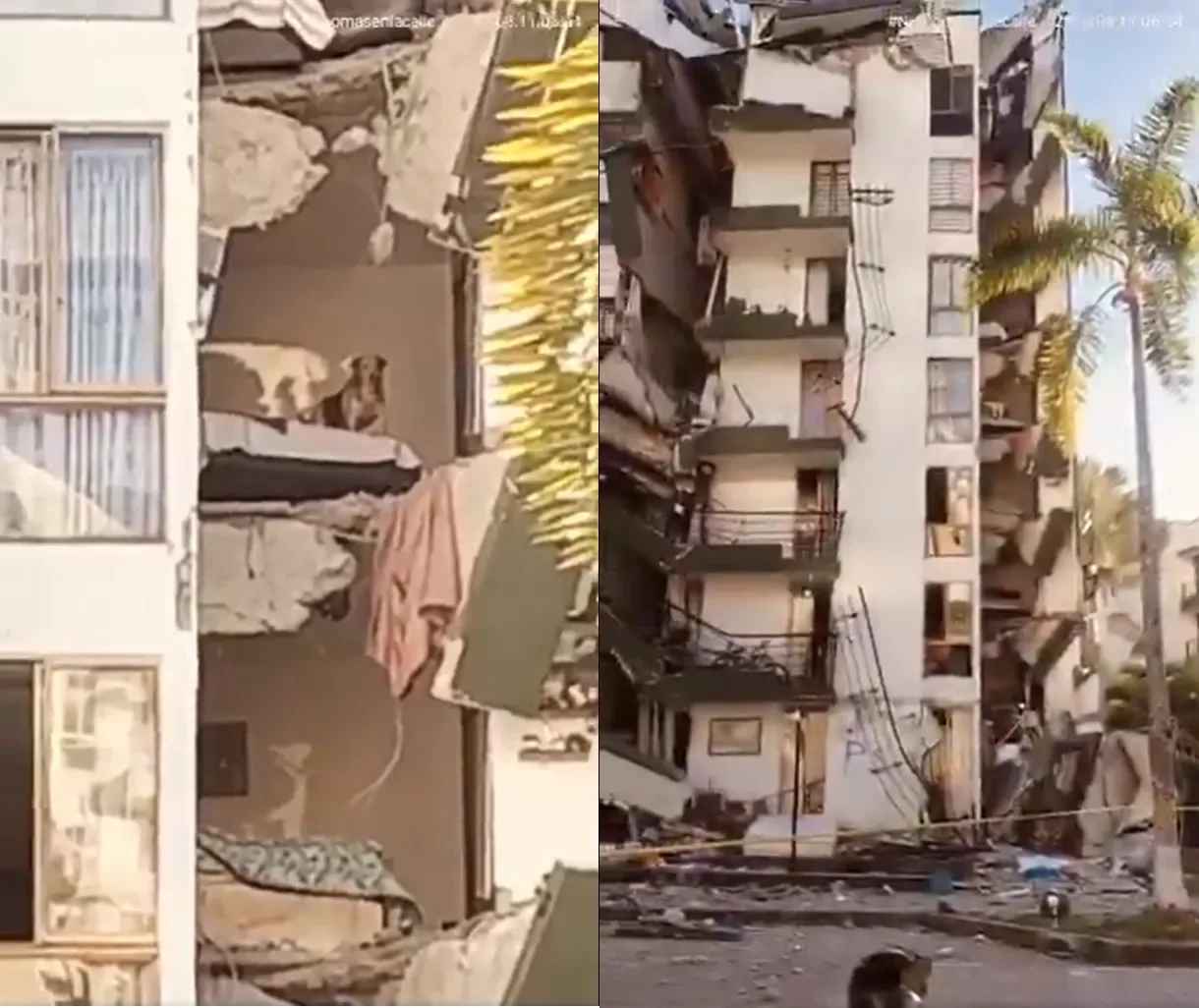Após terremoto, Brasil atende a pedido da Colômbia e anuncia envio de ajuda humanitária ao país