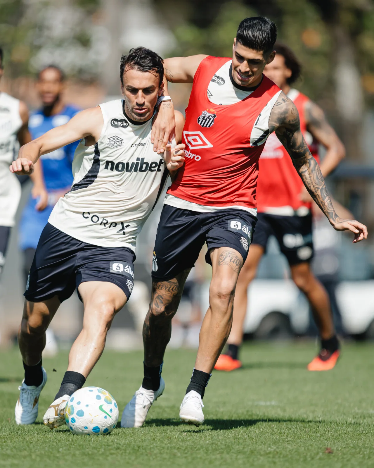 Veja fotos do último treino do Santos antes de enfrentar o Athletico-PR